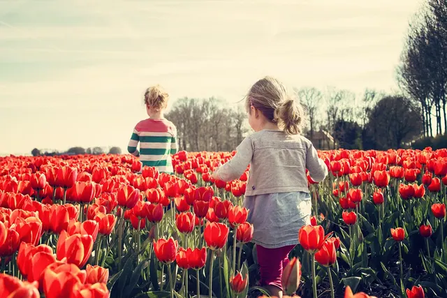 girls, children, tulips, red tulips, flower background, tulip garden, netherlands, spring, nature, holland, bloom, plants, beautiful flowers, flowers, garden, flower wallpaper, blo