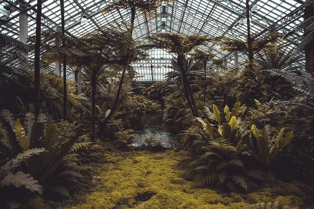 conservatory, plants, greenhouse, trees, garden, nature, eco, horticulture, ecosystem, glasshouse, environment, ecology, agriculture, hexagon, tropical, botanical, architecture, conservation, environmental, greenhouse, greenhouse, greenhouse, greenhouse, greenhouse, ecosystem, ecosystem. A two-day botanical garden travel itinerary template