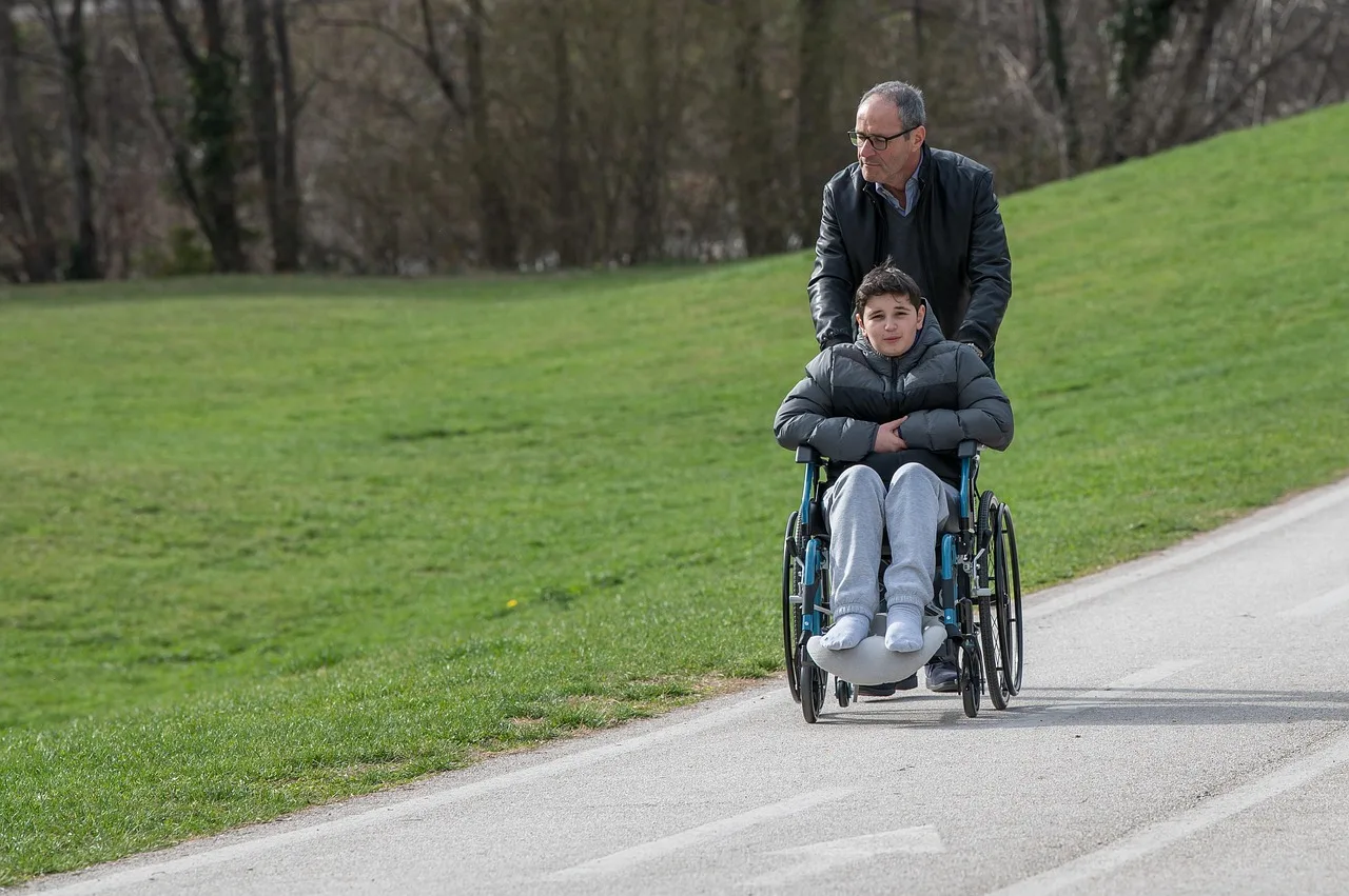 paralyzed, wheelchair, patient, couple, walking, nature, road, park, disability, paralyzed, wheelchair, patient, patient, patient, patient, patient. Accessible garden travel: what to verify before you go