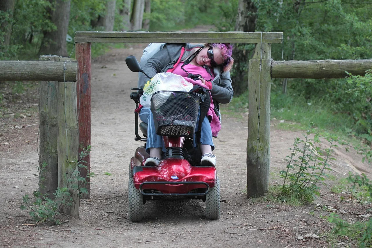 disabled, disabled access, wheelchair, accessibility, disabled, disabled, disabled, wheelchair, wheelchair, wheelchair, wheelchair, wheelchair, accessibility, accessibility. Garden trip mistakes: accessible options checklist