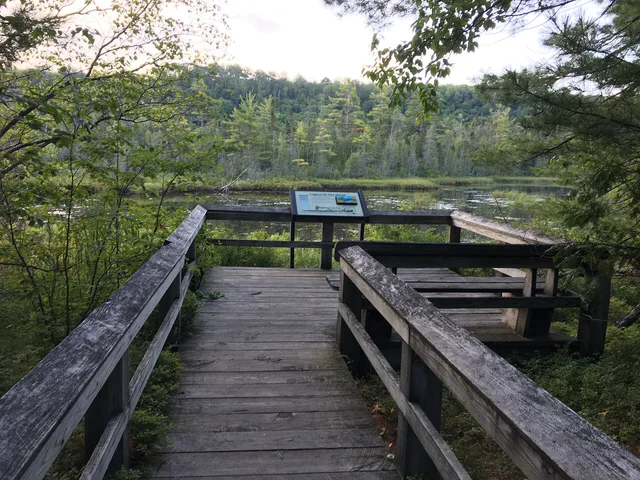 Boardwalk pullout to oversee a pond on the Sand Point Marsh Trail Sand Point Marsh Trail Keywords: pictured rocks; piro; pictured rocks national lakeshore; sand point; marsh trail; boardwalk; wheelchair accessibility. USA travel: Allens Pond access and a free garden field trip
