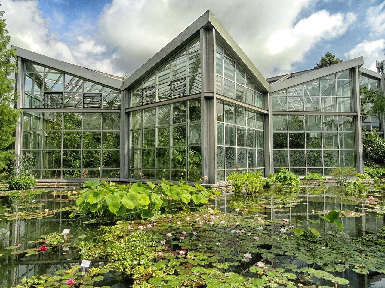 frankfurt, germany, botanical garden, pond, water, reflections, building, architecture, sky, clouds, nature, outside, lily pads, summer, spring, green sky, green clouds, green building, frankfurt, frankfurt, frankfurt, frankfurt, frankfurt, green building. Free admission days at US public gardens: which ones are worth planning around?