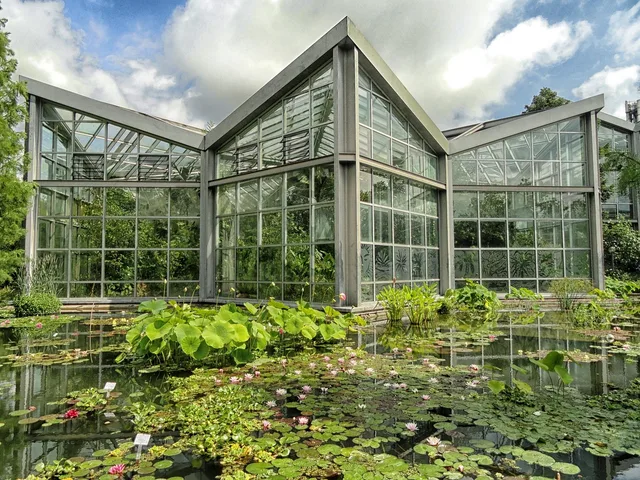 frankfurt, germany, botanical garden, pond, water, reflections, building, architecture, sky, clouds, nature, outside, lily pads, summer, spring, green sky, green clouds, green building, frankfurt, frankfurt, frankfurt, frankfurt, frankfurt, green building. Free admission days at US public gardens: which ones are worth planning around?