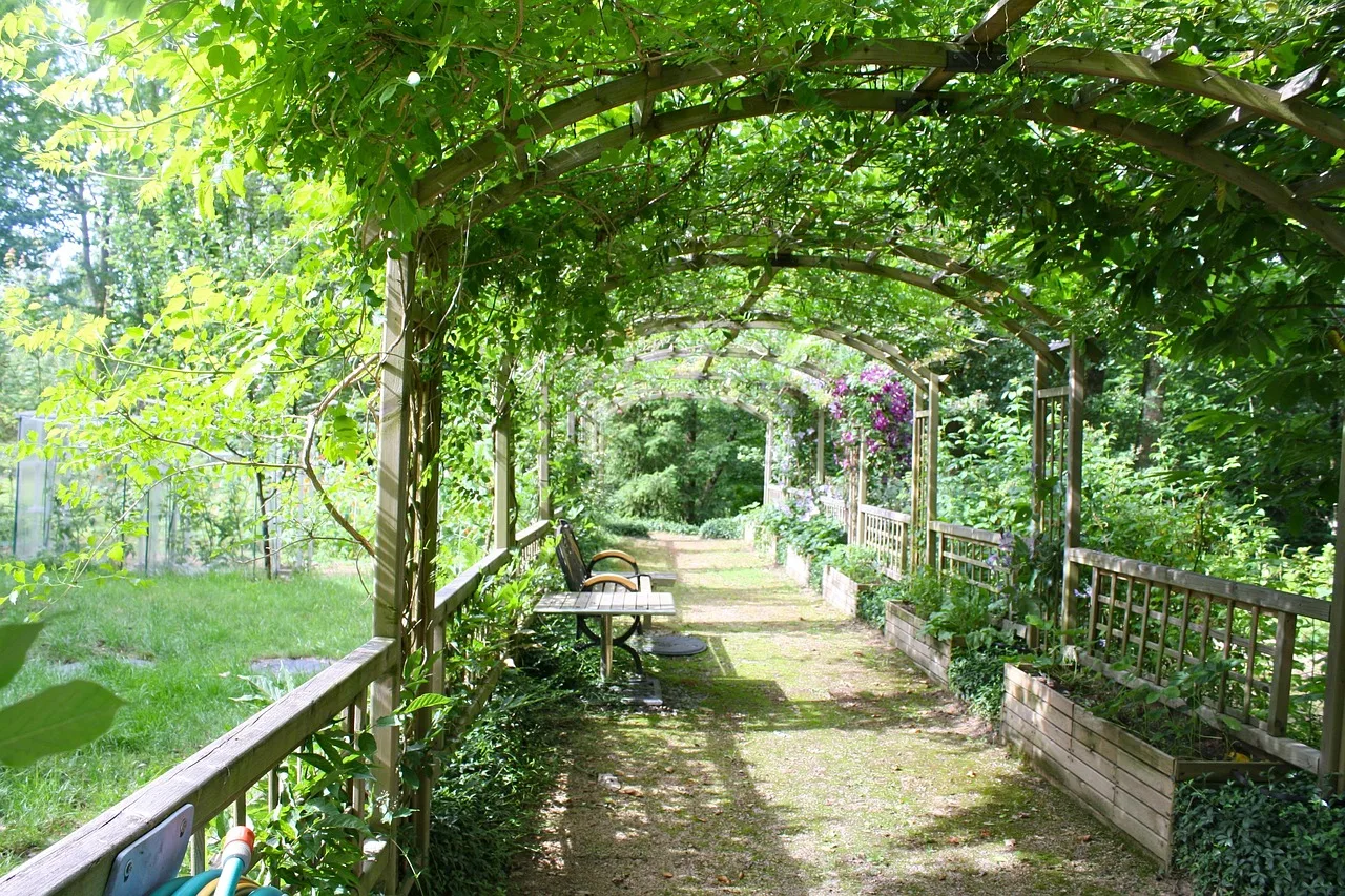 pergola, shady walk, garden walk, arbor, path, leafy, green walking, green path, pergola, pergola, pergola, pergola, pergola, garden walk, arbor, arbor, arbor, arbor. Garden itinerary building: the parts worth your attention