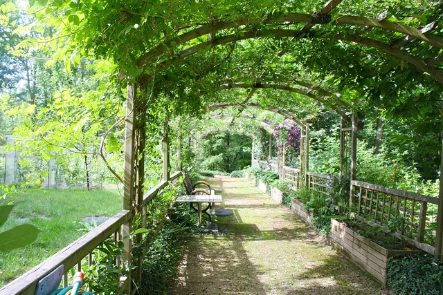 pergola, shady walk, garden walk, arbor, path, leafy, green walking, green path, pergola, pergola, pergola, pergola, pergola, garden walk, arbor, arbor, arbor, arbor. Garden itinerary building: the parts worth your attention
