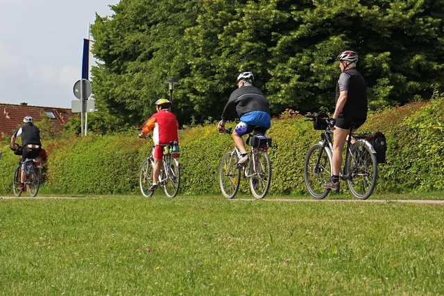 leisure time, recreation, vacations, cyclist, bicycle, to go biking, bike tour, cycling tour, wheel, path, bicycle path, cyclist, bicycle, bicycle, bicycle, bicycle, bicycle, bike tour. Guided tour or your own garden itinerary: the tests that decide