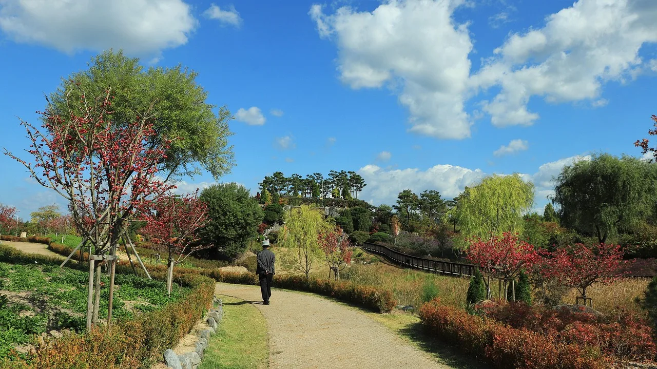 sky, blue, clear, cloud, sea, solar, the noonday, season, spring, here then, autumn, entrance, exit, the front door, main door, botanical garden, park, arboretum, tree, trees, plant, plants, harmony, harmonious, harmoniously, nature, the nature of the, natural, noon, afternoon, purity, clean of, clean, pure, of pure, ladder, landscape, sunshine, light, sky of autumn, summer, blue sky, autumn leaves, memory, backlight, warmth, frame, forest, pebble, serenity, green, walk, trail, straw, old man, male, man, gentleman, walking, to walk, bridge, gazebo, stairs, river, water, river water, korea, republic of korea, flower, flower garden, white, abstract, yellow, background defocus, echo park, tree growing shade, out of focus, red, state of the union, marguerite. Garden Trips Planning: Five Steps for a Better Visit