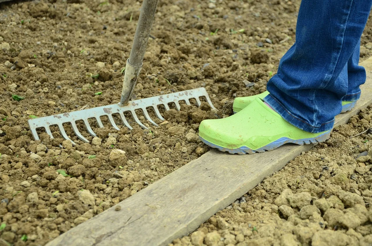 garden, gardening, bed, earth, nature, garden soil, garden land, computing, plants, sow, floor, work, plant, own products. Packing for a working public garden project, not a show garden