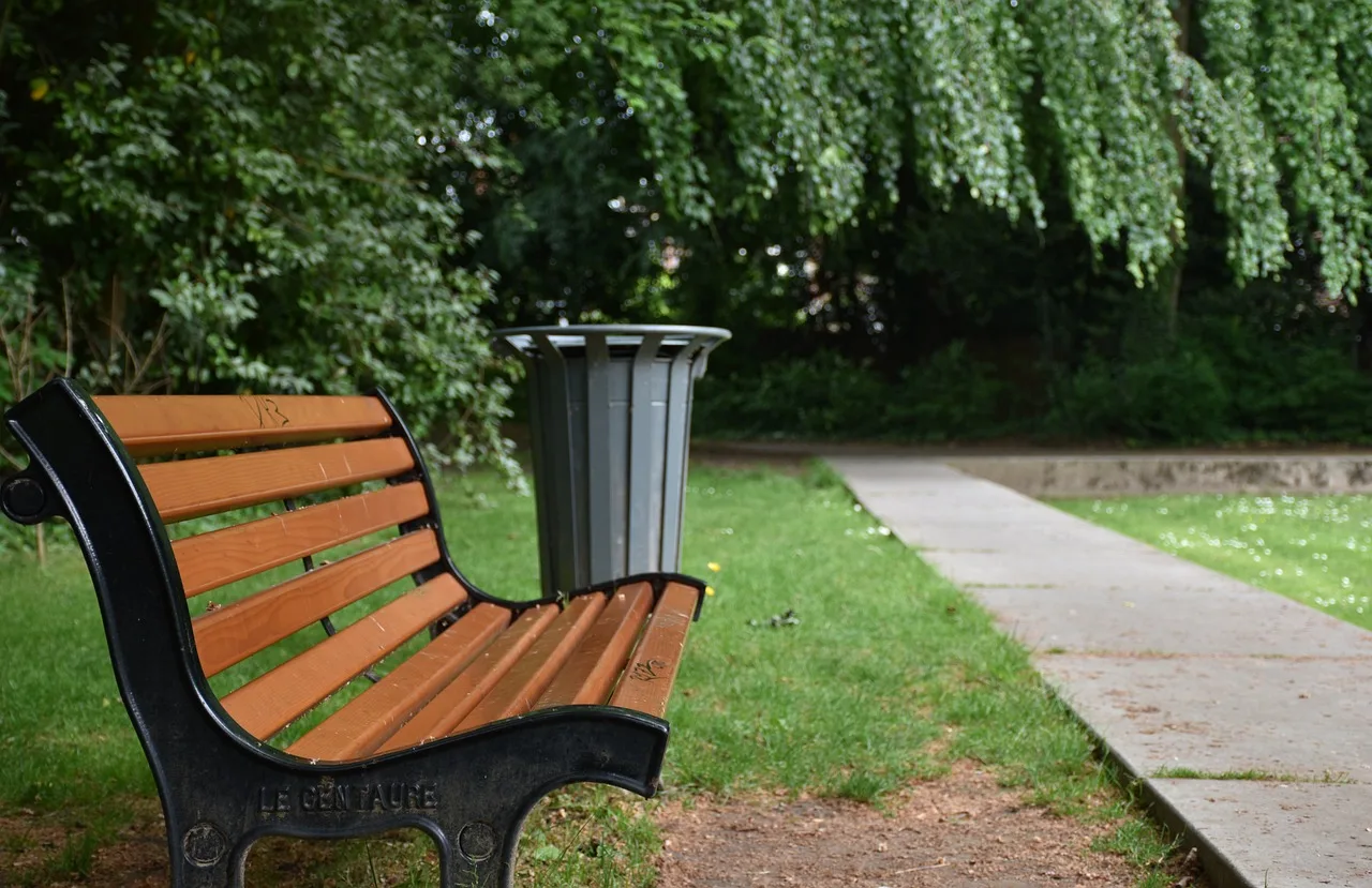 bench, public garden, public bench, perspective, alley, public garden, public garden, public garden, public garden, public garden. Free entry, compared with the real cost of reaching a public garden destination