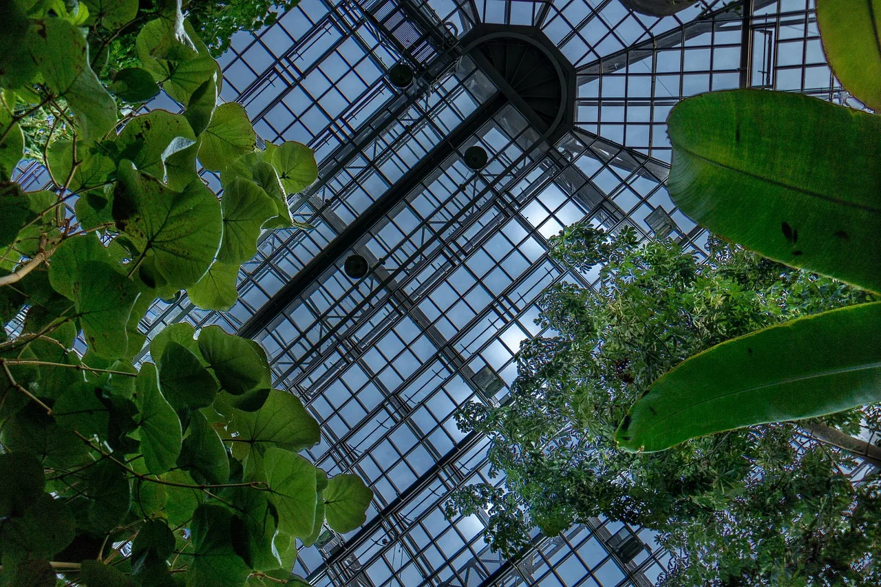 berlin, greenhouse, botanical garden, garden, nature, leaves, architecture, ceiling, green. 4 things about public garden destinations worth your time
