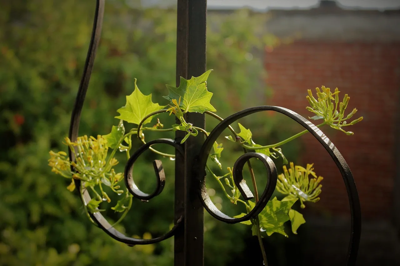 plant, plant guide, nature, leaf, yard. Garden tour companies tips: four checks that matter