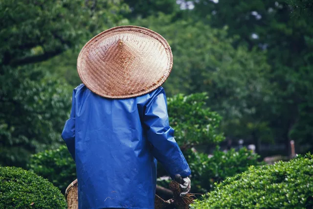 yard, nature, park, gardener, gardening, hat, asia, nature, gardening, gardening, gardening, gardening, gardening, hat, asia, asia. No water, wrong shoes, an unwieldy bag: packing mistakes that end a garden day early